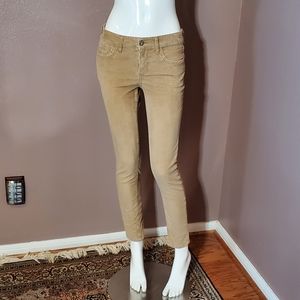 PILCRO Stet fit lowrise skinny tan pinwale cord jeans size 26